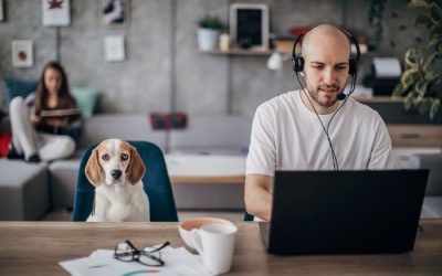 Charity hybrid working in 2022 – do charities need to  change the way they communicate?